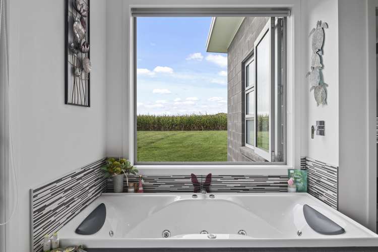 382 Taukoro Road Morrinsville_14