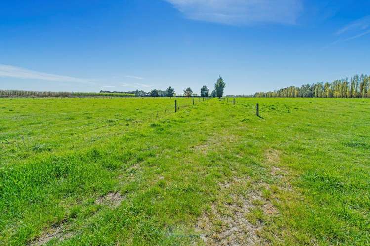 382 Selwyn Lake Road Leeston_6