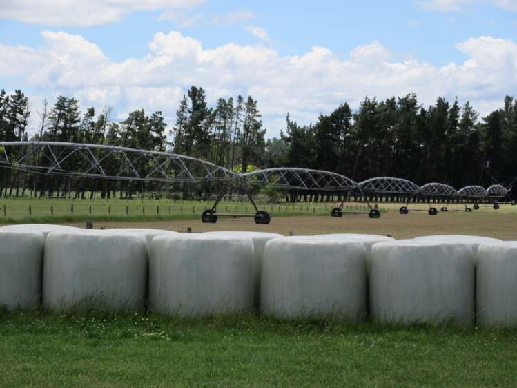 3389 State Highway 2 Takapau_6