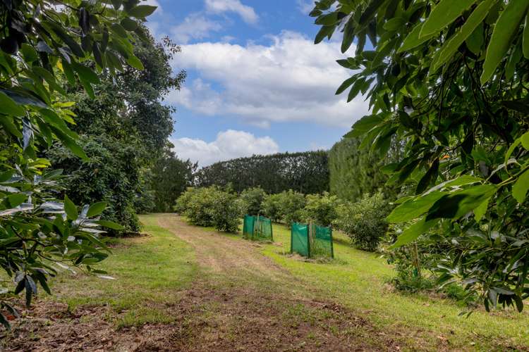 93 Te Puna Quarry Road Wairoa_6