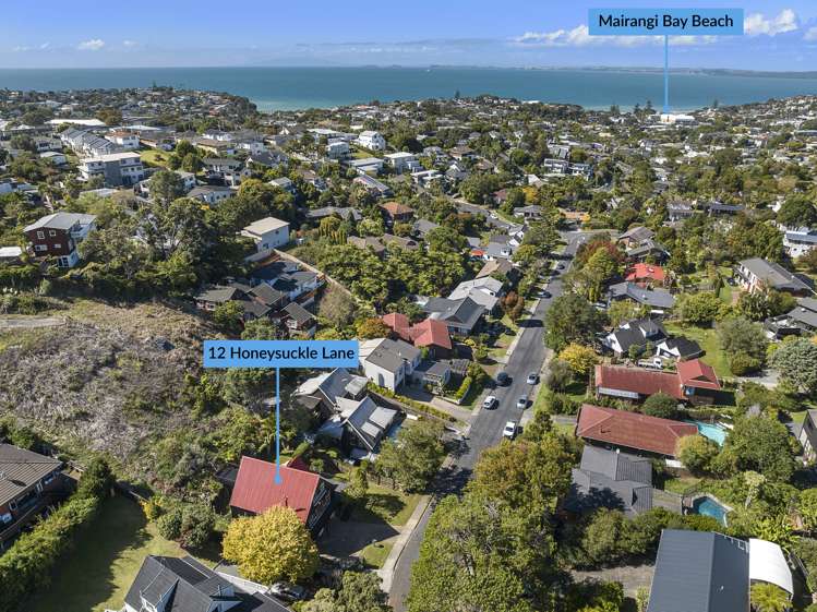 105 Windsor Road Bellevue_11