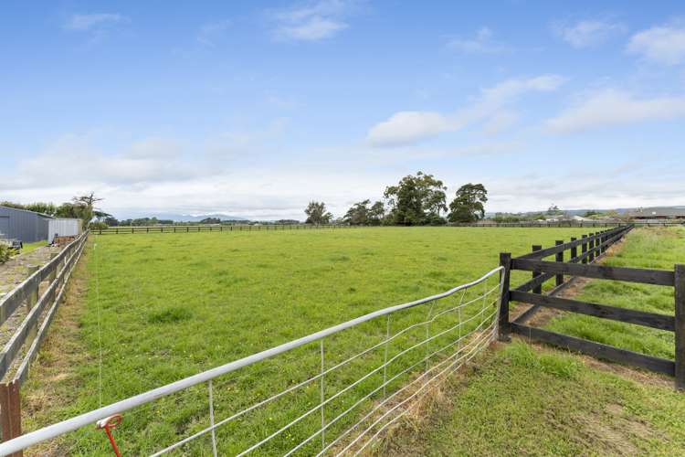 44 Tutaki Road Kelvin Grove_7