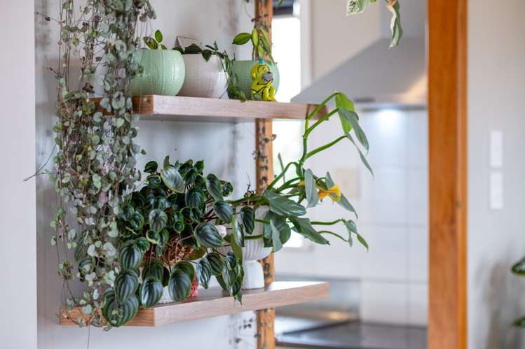 1B Tomin Road Glenview_8