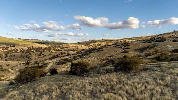 Lot 1 Fruitlands-Roxburgh Road_3