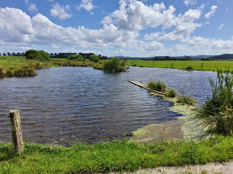 4980 Galatea Road Murupara Surrounds_14