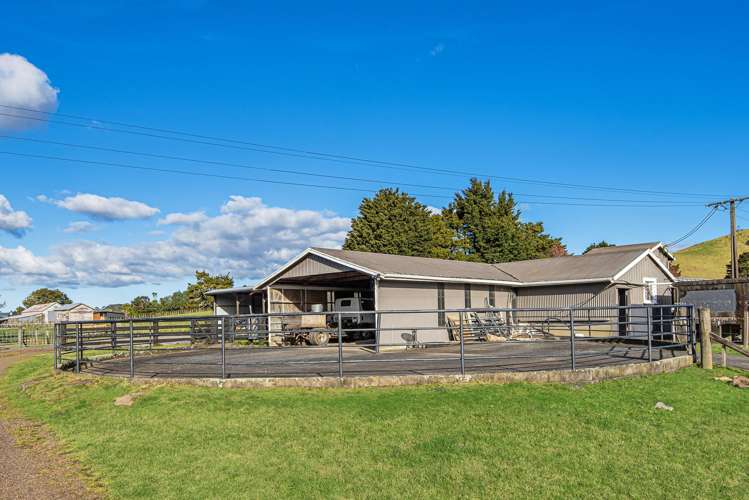 243 Harris Road Glenbervie_18