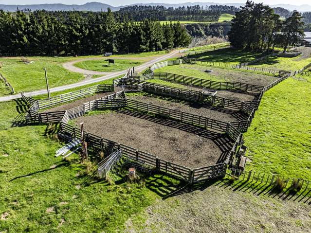 Mananui Station Ormondville_3