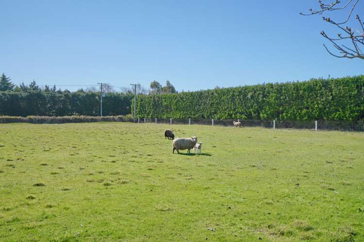 451 Johns Road Fernside_17