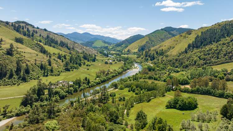 2731 Motueka Valley Highway Woodstock_23