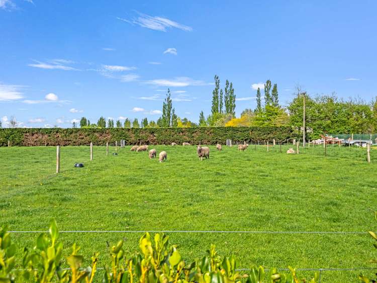 292 Seafield Road Elgin_32