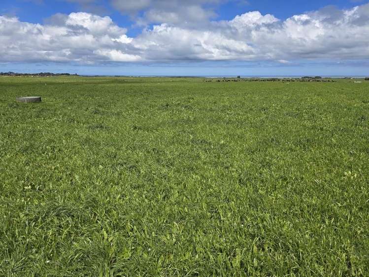 189 Namu Road Rd 31_12