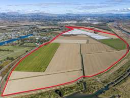 Large-scale horticultural opportunity