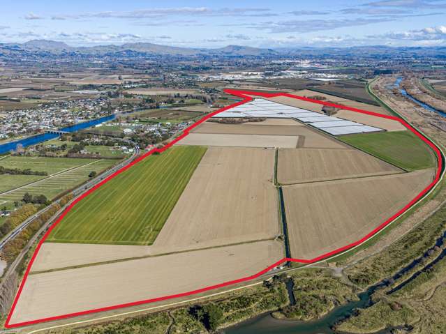 Large-scale horticultural opportunity