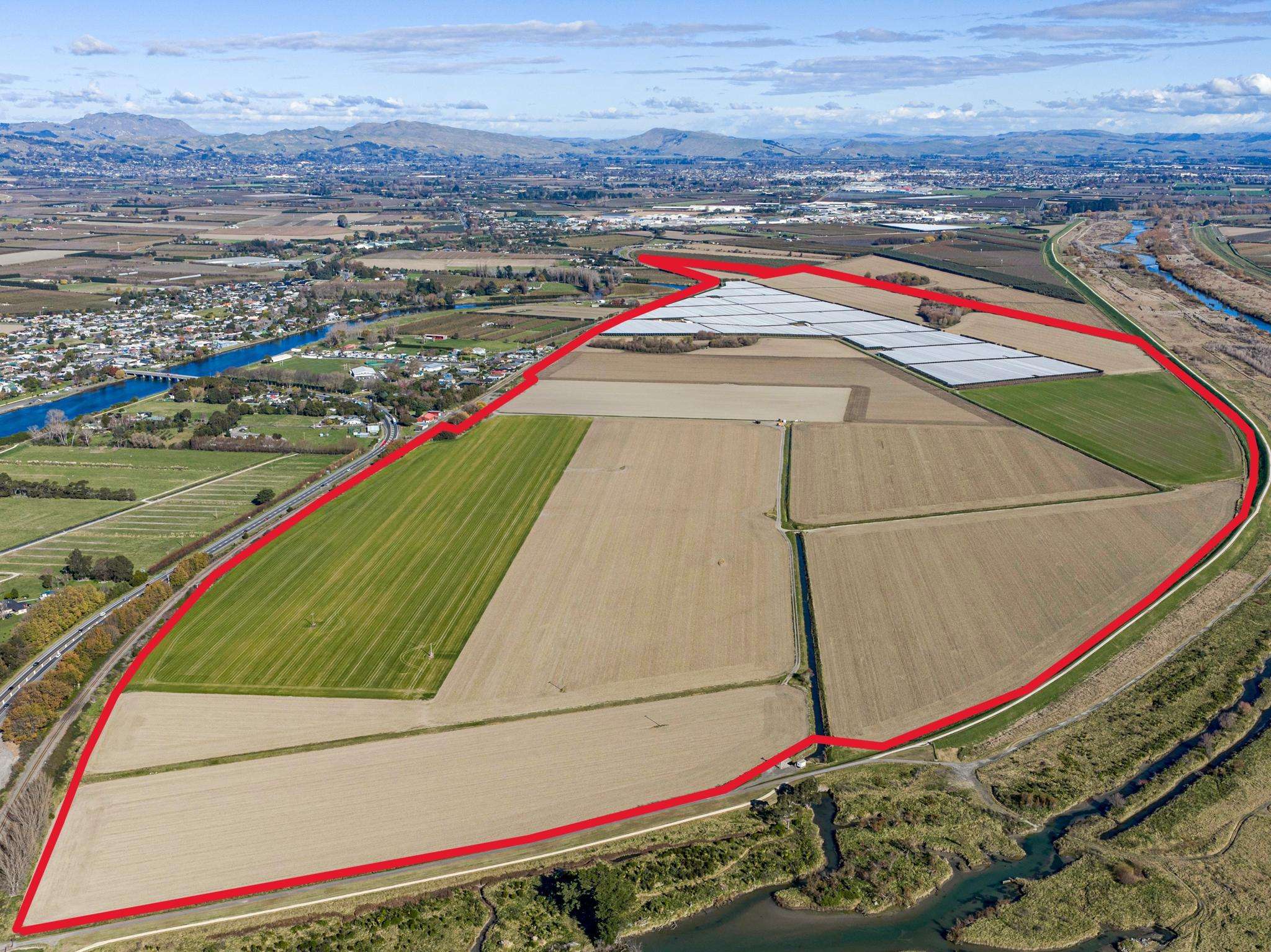 Large-scale horticultural opportunity