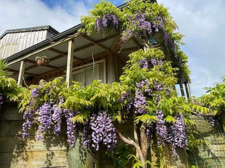 123 Rataroa Road Miranda_15