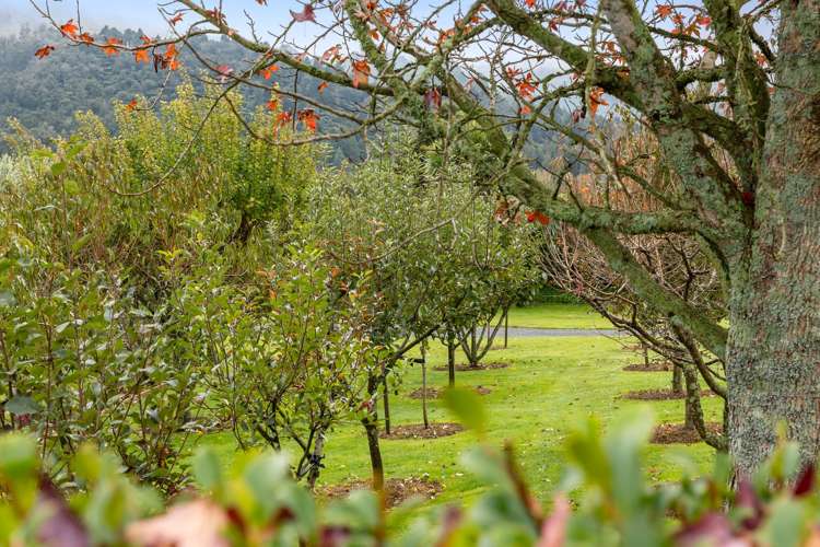 968 Limeworks Loop Road Karamu_15