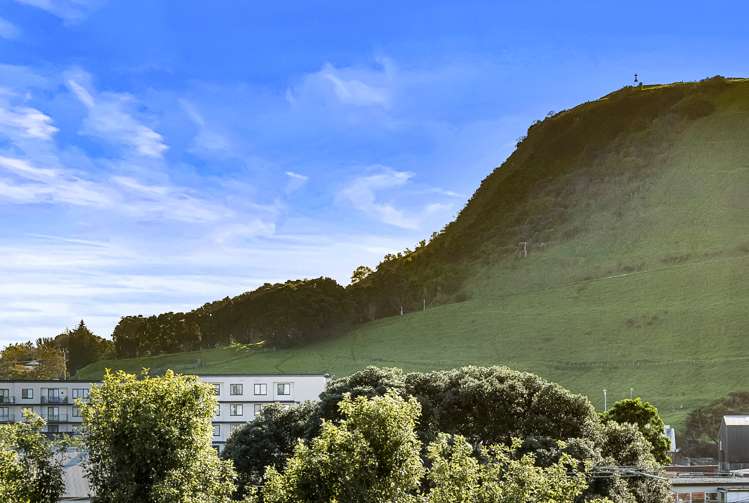 3c Green Road Panmure_14