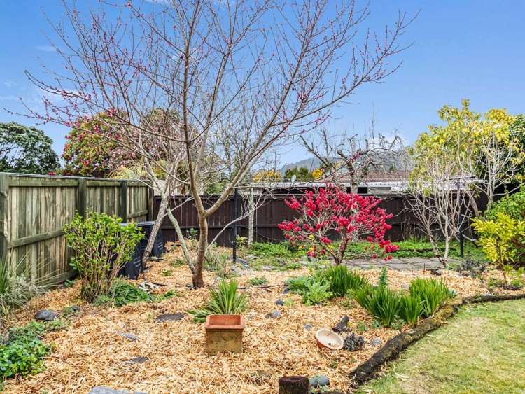 17 Gwendoline Street Glenholme_2