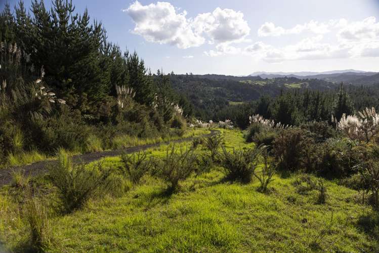 Lot 3 and 4/169 Tunatahi Road Panguru_15