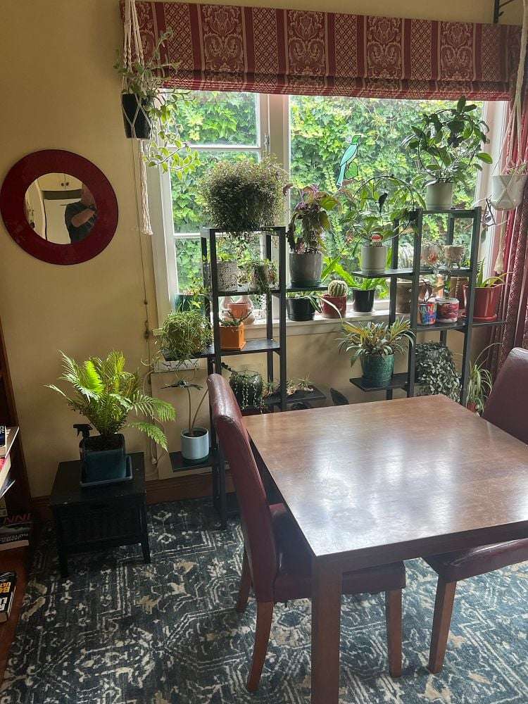 20 Ranui Terrace Tawa_7