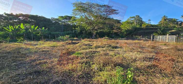 Address withheld Savusavu_19