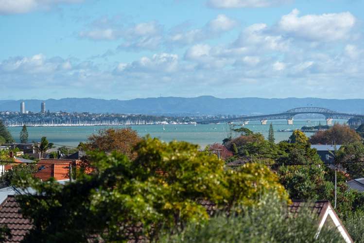 27 Hemi Street Devonport_19