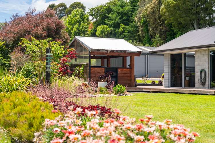 151b Palmer Mill Road Wairakei And Surrounds_14