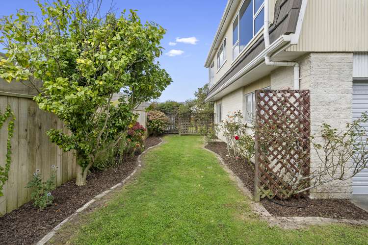 3c Boulcott Street Boulcott_12