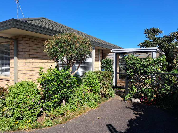 4b Gordet Drive Katikati_10
