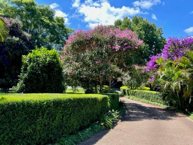 161-169 Eagle Heights Road Tamborine Mountain_31