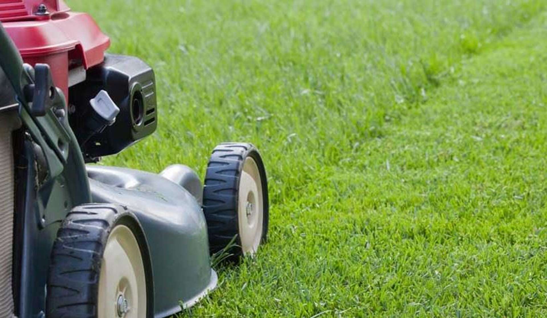 Lawn Mowing Run and Near New Gear Paeroa_0