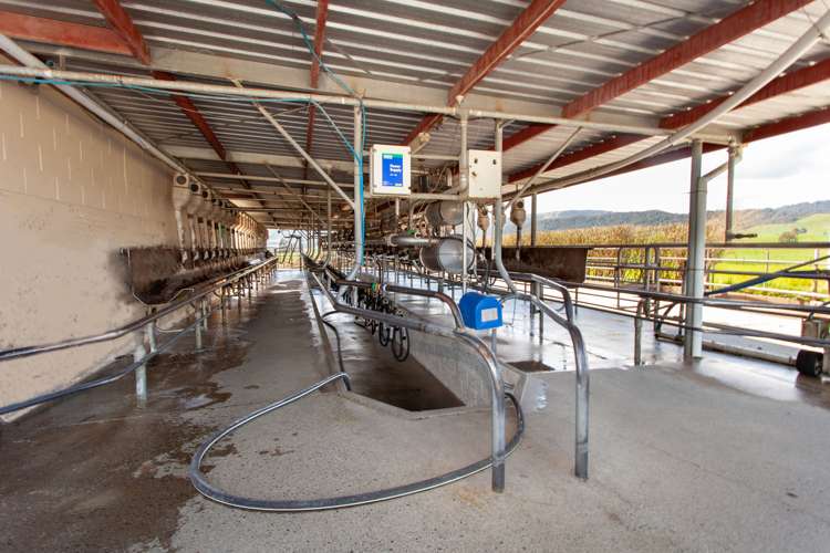 216a Rapurapu Road Te Poi_6