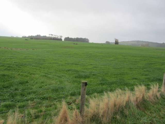 250 Knutsford Road Otautau_2