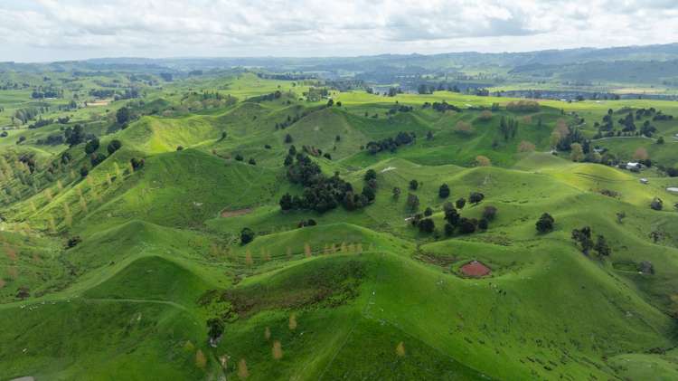 1163 Mangamako Road Ohingaiti_24