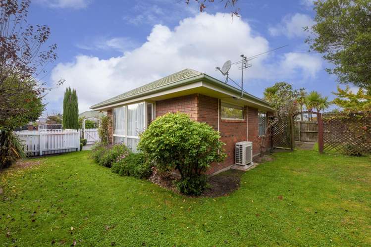 31A Plunket Street Spreydon_12