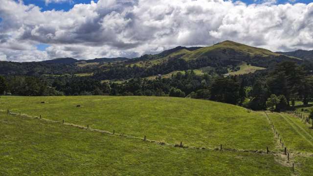 55 County Road Paeroa_1