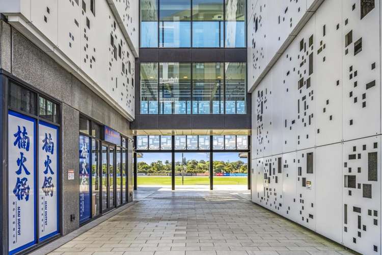 223 Greenlane West Epsom_4