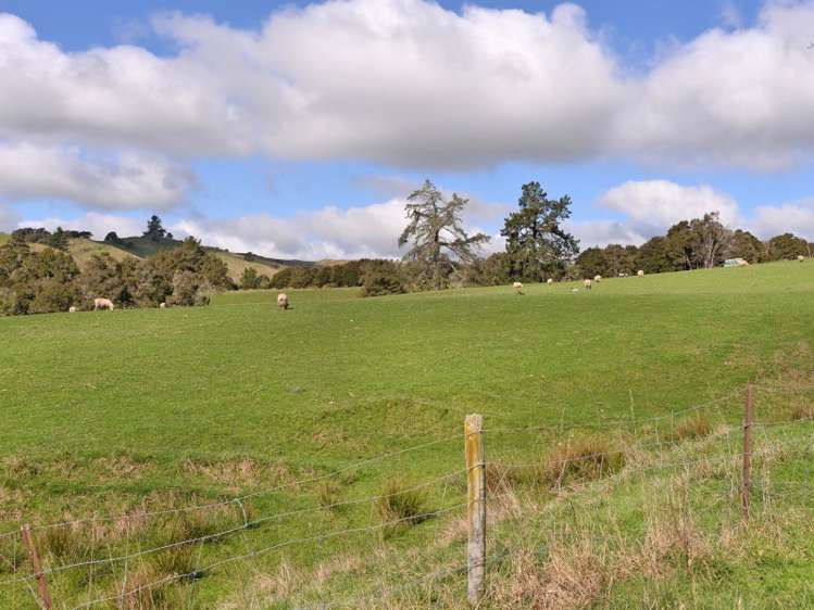 142 Strachan Road Ngatimoti_20