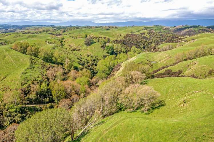 475 Pollock Road Pohangina_10