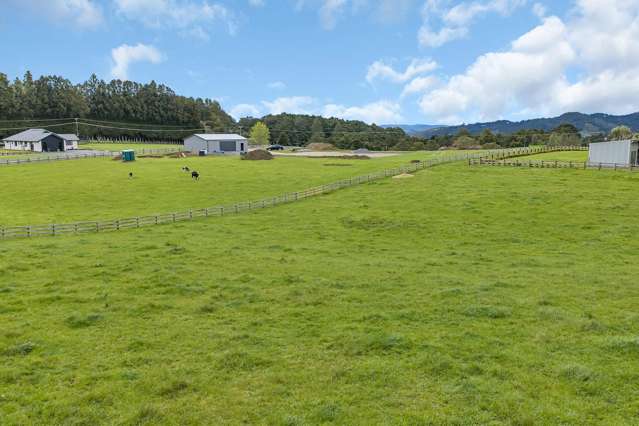 135 Apotu Road Kauri_3