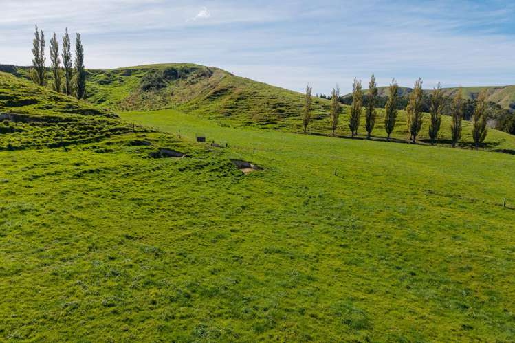 Range Road Woodville_15