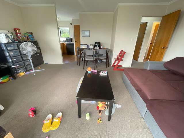 18a Michaels Avenue Ellerslie_2