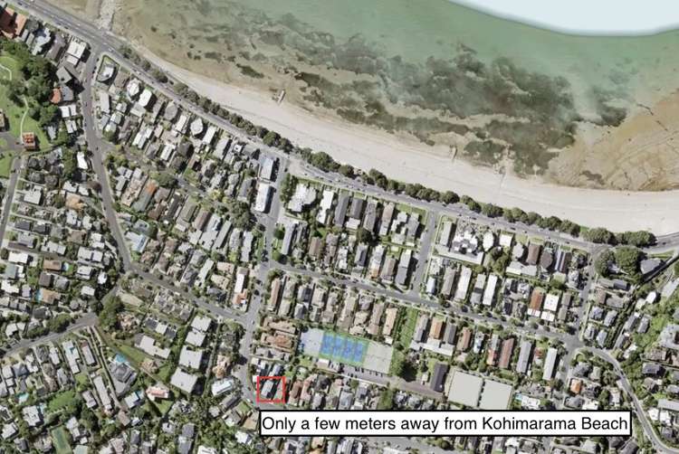 12 Melanesia Road Kohimarama_20