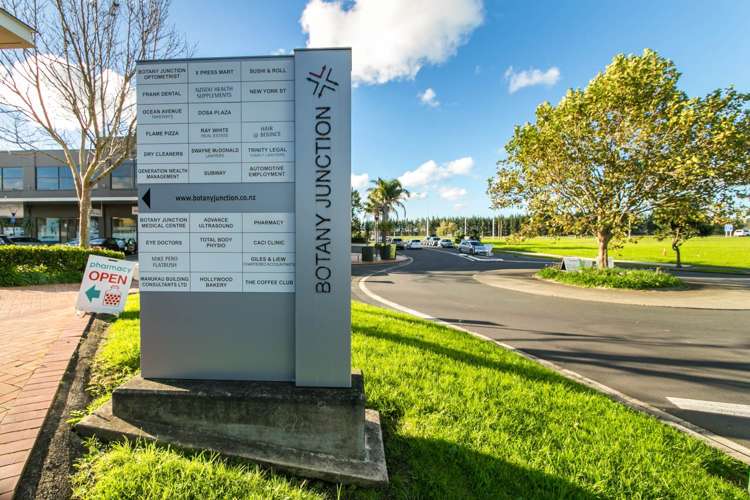 100c Michael Jones Drive Flat Bush_8