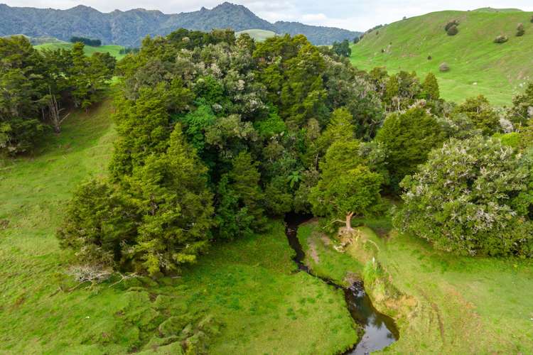 Omana Road Tangiteroria_18