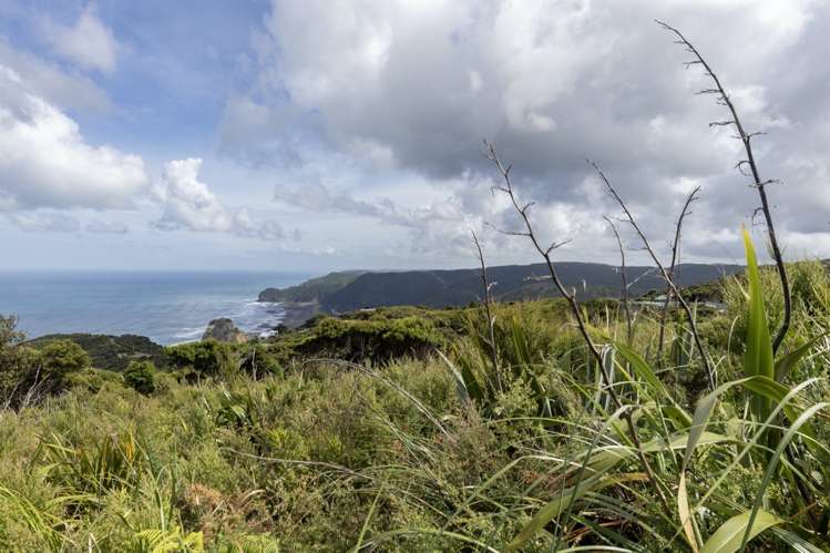 13 Te Ahuahu Road Piha_5