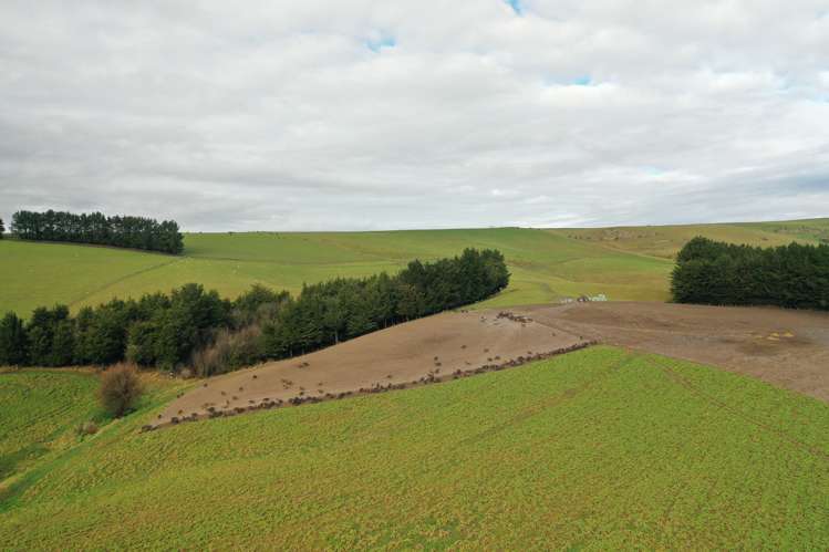 319 Monument Road Pleasant Point_23