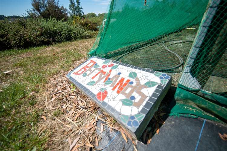 127 Redwood Valley Road Redwood Valley_31