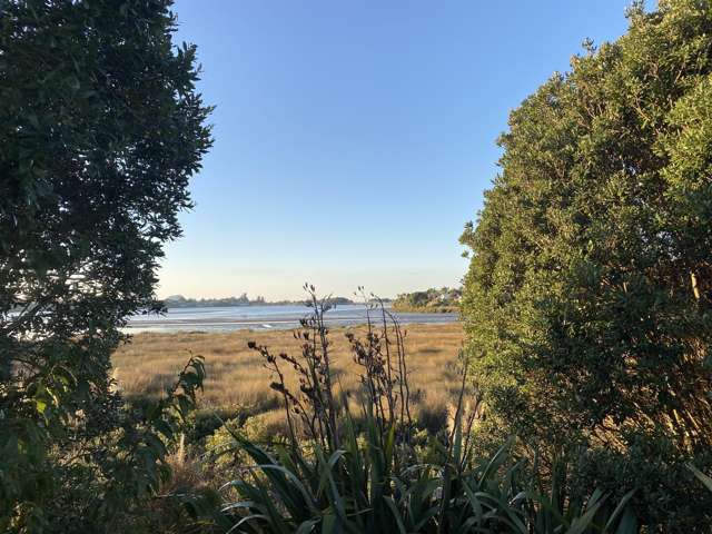 31 Tangaroa Place Poike_1