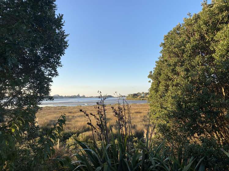 31 Tangaroa Place_0